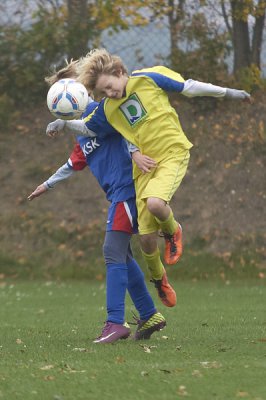 IMGP8092.jpg IMGP8092.jpg