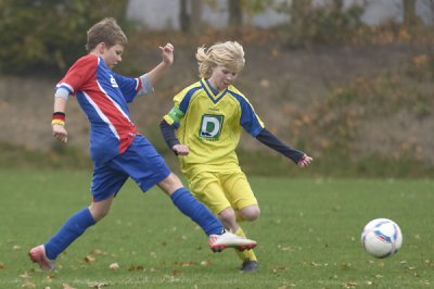 IMGP8123.jpg IMGP8123.jpg