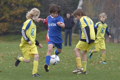 IMGP8176.jpg IMGP8176.jpg