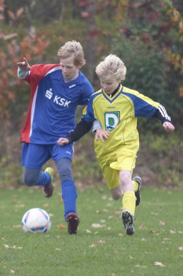 IMGP8224.jpg IMGP8224.jpg