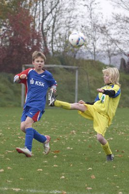 IMGP8253.jpg IMGP8253.jpg