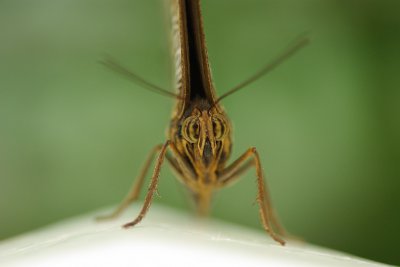 2010 07 28 IMGP6263 a.jpg