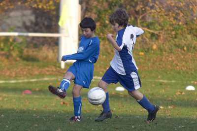 IMGP8312.jpg IMGP8312.jpg