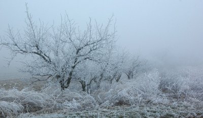 pi_IMGP4916.jpg