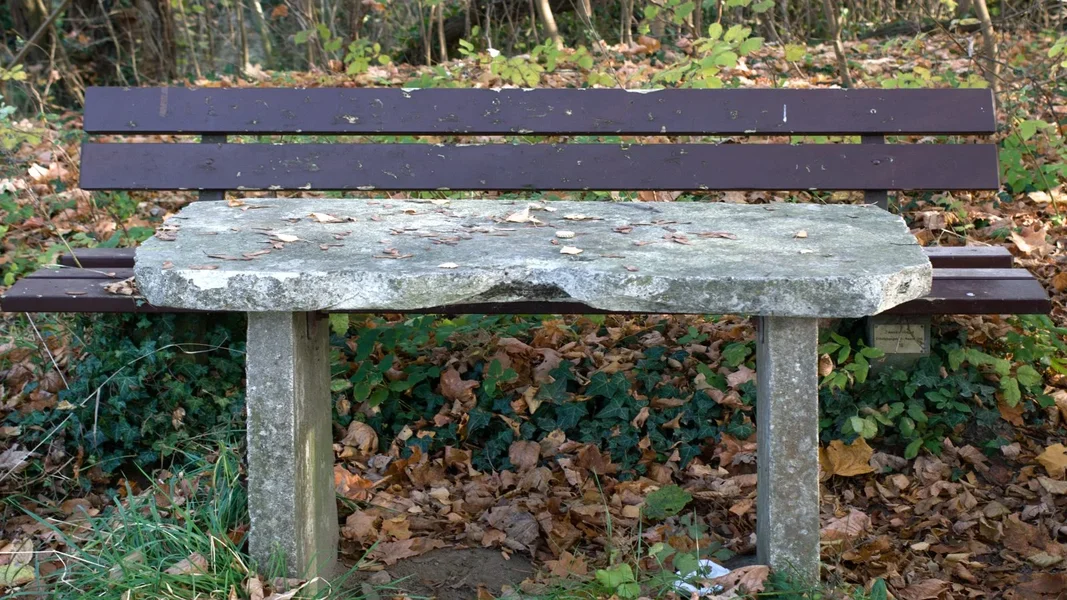 IMGP2290.webp