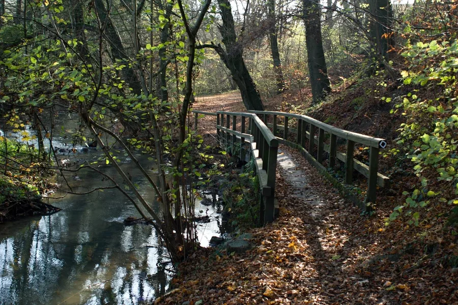 IMGP2314.webp
