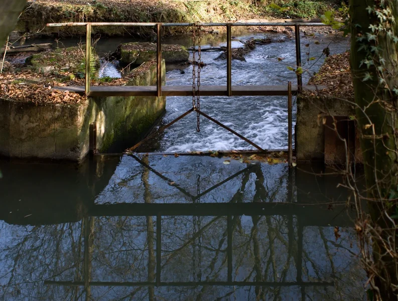 IMGP2317.webp