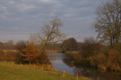 Steinhorster Becken (3).jpg