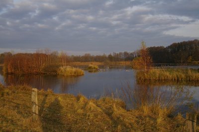 Steinhorster Becken (4).jpg