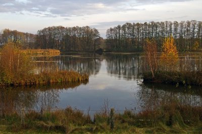 Steinhorster Becken (6).jpg