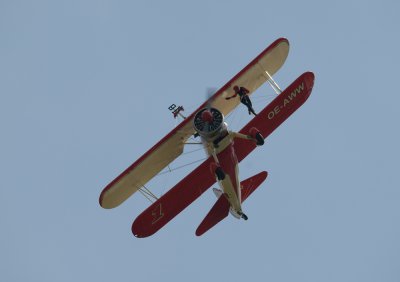 wingwalk3.jpg