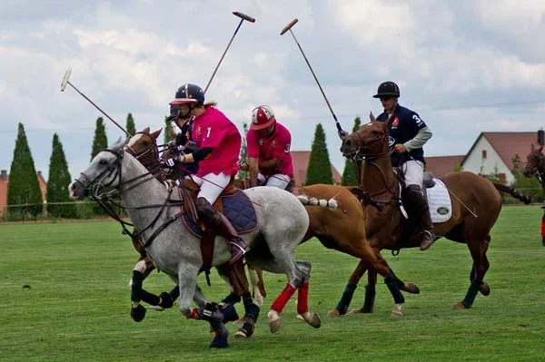 IMGP6547.webp