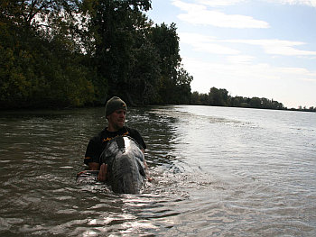 bild1.jpg