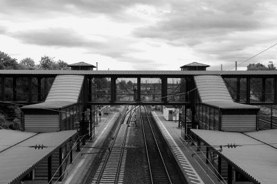 IMGP0003.jpg IMGP0003.jpg