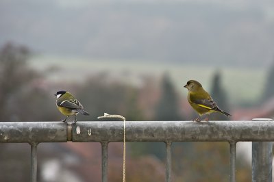 Bild_0081.jpg Bild_0081.jpg