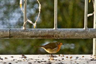 Bild_0089.jpg Bild_0089.jpg