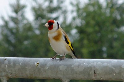 Bild_0090.jpg Bild_0090.jpg