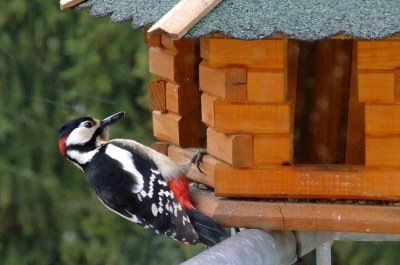 Bild_0100.jpg Bild_0100.jpg