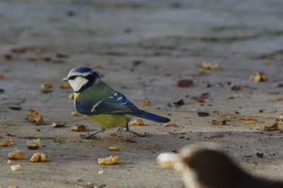 K5119055c.jpg K5119055c.jpg