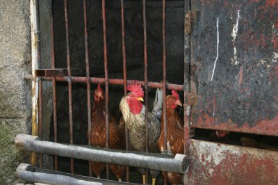 macht Platz, ich will auch etwas sehen.jpg