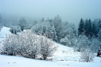 K20D2011.jpg