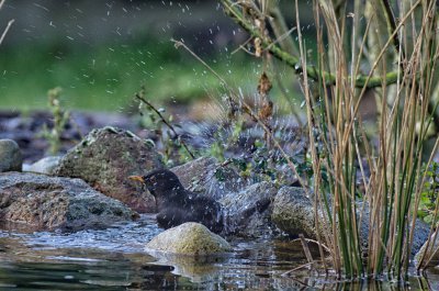 20120120-IMGP3541-Bearbeitet.jpg 20120120-IMGP3541-Bearbeitet.jpg