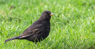 20120120-IMGP3536.jpg 20120120-IMGP3536.jpg