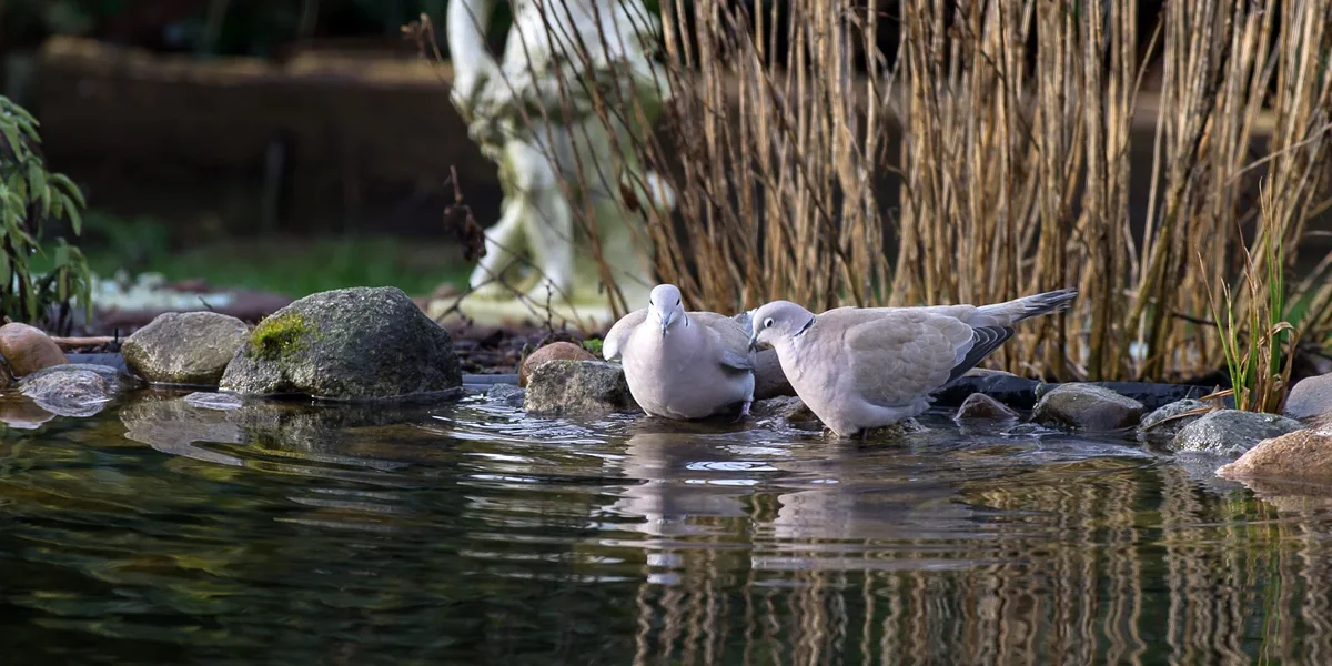 20120123-IMGP7638.webp