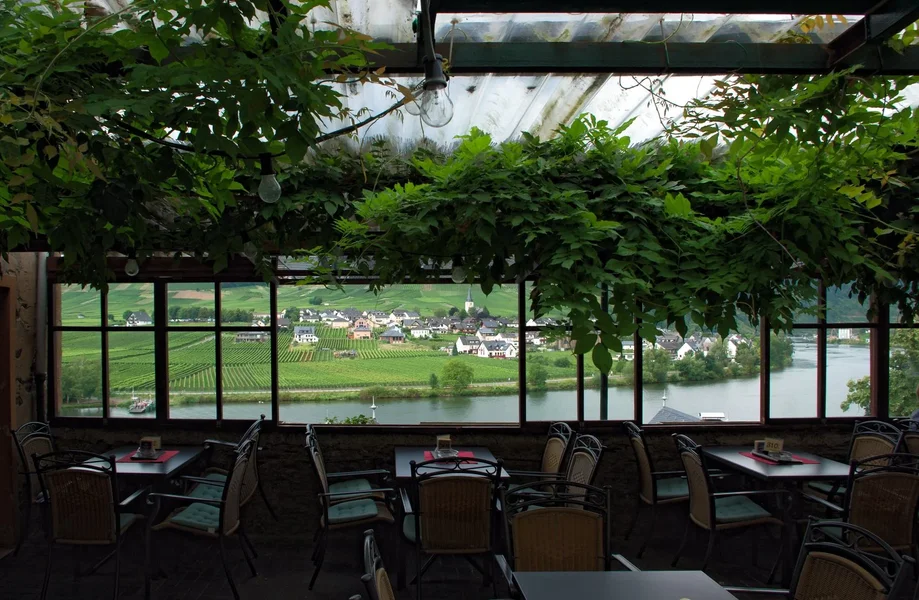 IMGP3216.webp