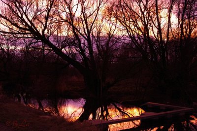 c_IMGP2232.jpg