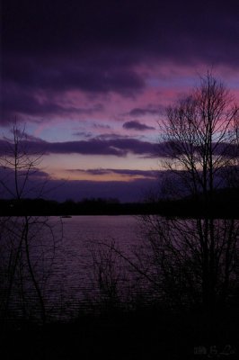 c_IMGP2278.jpg