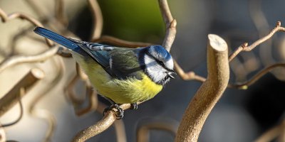 20120202-IMGP7839.jpg