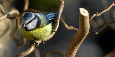 20120202-IMGP7840.jpg
