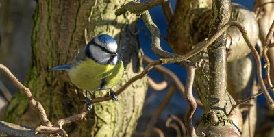 20120202-IMGP7828.jpg 20120202-IMGP7828.jpg