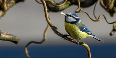 20120202-IMGP7865.jpg