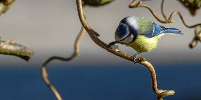 20120202-IMGP7859.jpg 20120202-IMGP7859.jpg