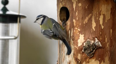 20120203-IMGP7993.jpg 20120203-IMGP7993.jpg