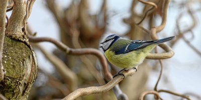 20120203-IMGP7963.jpg 20120203-IMGP7963.jpg