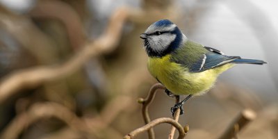 20120203-IMGP7975.jpg 20120203-IMGP7975.jpg