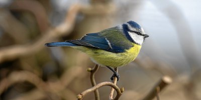 20120203-IMGP7976.jpg 20120203-IMGP7976.jpg