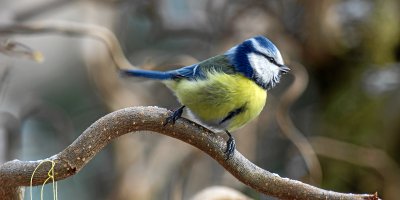 20120203-IMGP7977.jpg 20120203-IMGP7977.jpg