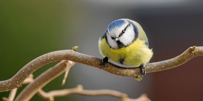 20120203-IMGP7987.jpg 20120203-IMGP7987.jpg