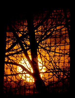 _FJB0779.jpg