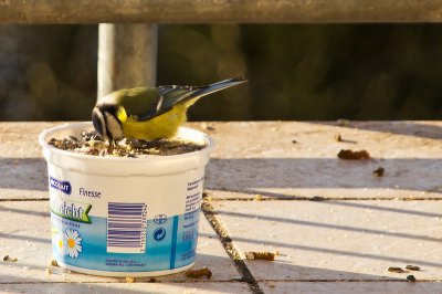 comp_IMGP2609 Kopie_crop.jpg