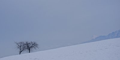 PENTAX K-5 0.4 Sek. bei f - 4.5 ISO 100 35 mm Minimalistisch 120209.jpg