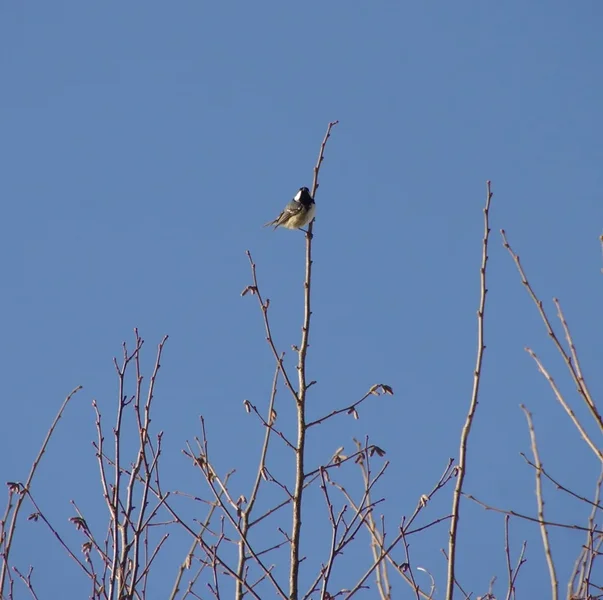comp_IMGP7318.webp