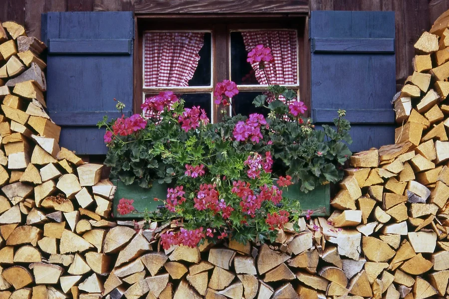 comp_Mittenwald.webp