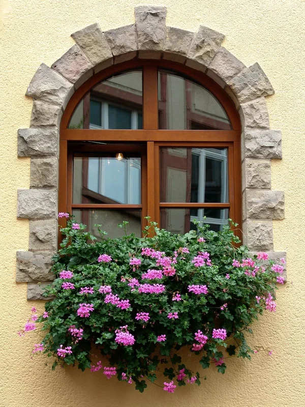 comp_05625.webp