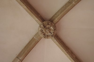 IMGP8736.jpg