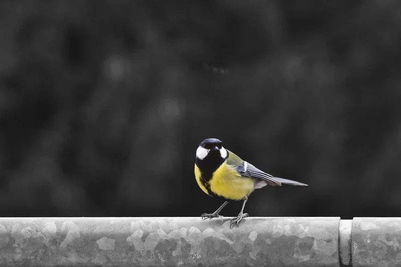 Bild_04.webp
